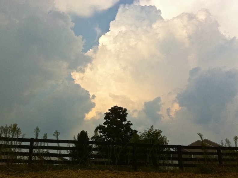 Town Branch Trail - 4